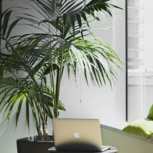 Cushion Player Purple Washer