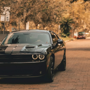 Silver Car Grey Dress Movie