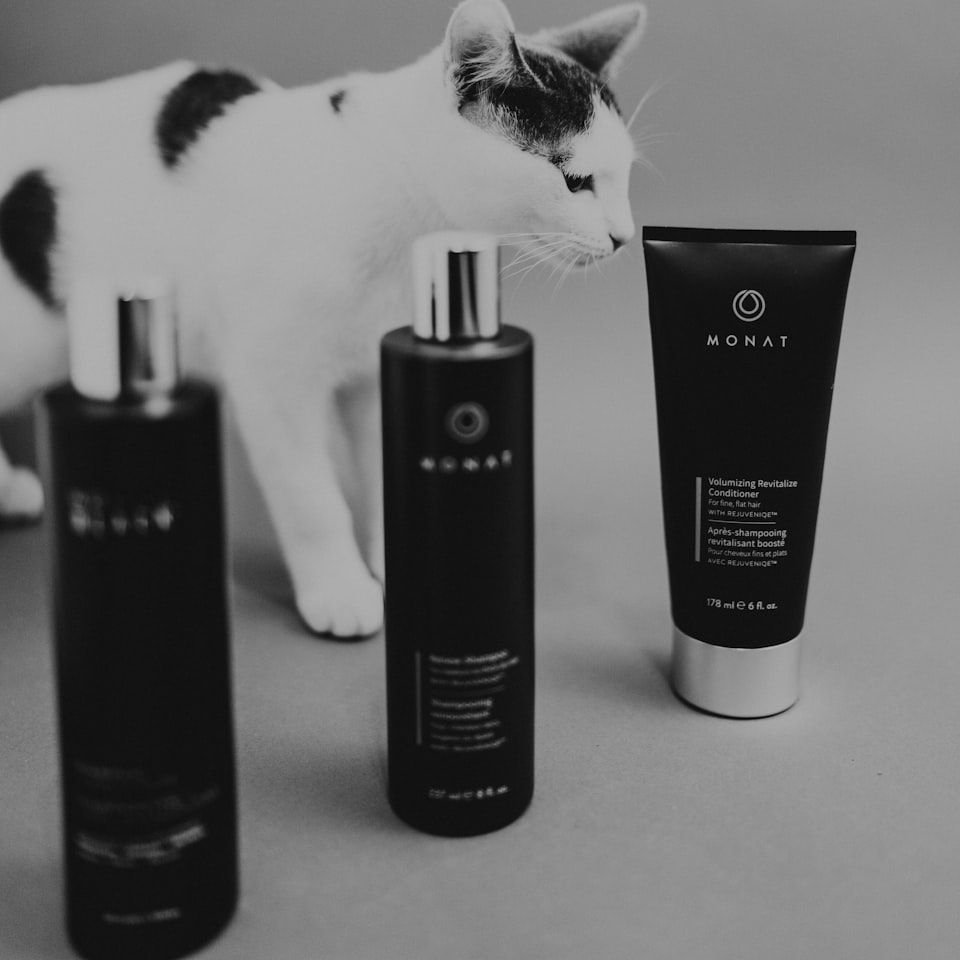 Shampoo Diamond Cola