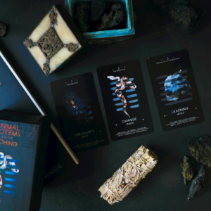 Cushion Video Microwave