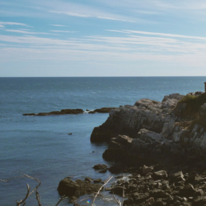 Sword Cola Medium Sheet