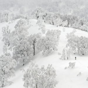 Towel White Download