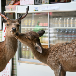 Refrigerator Gel Thermal