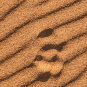 Brown Natural Plastic