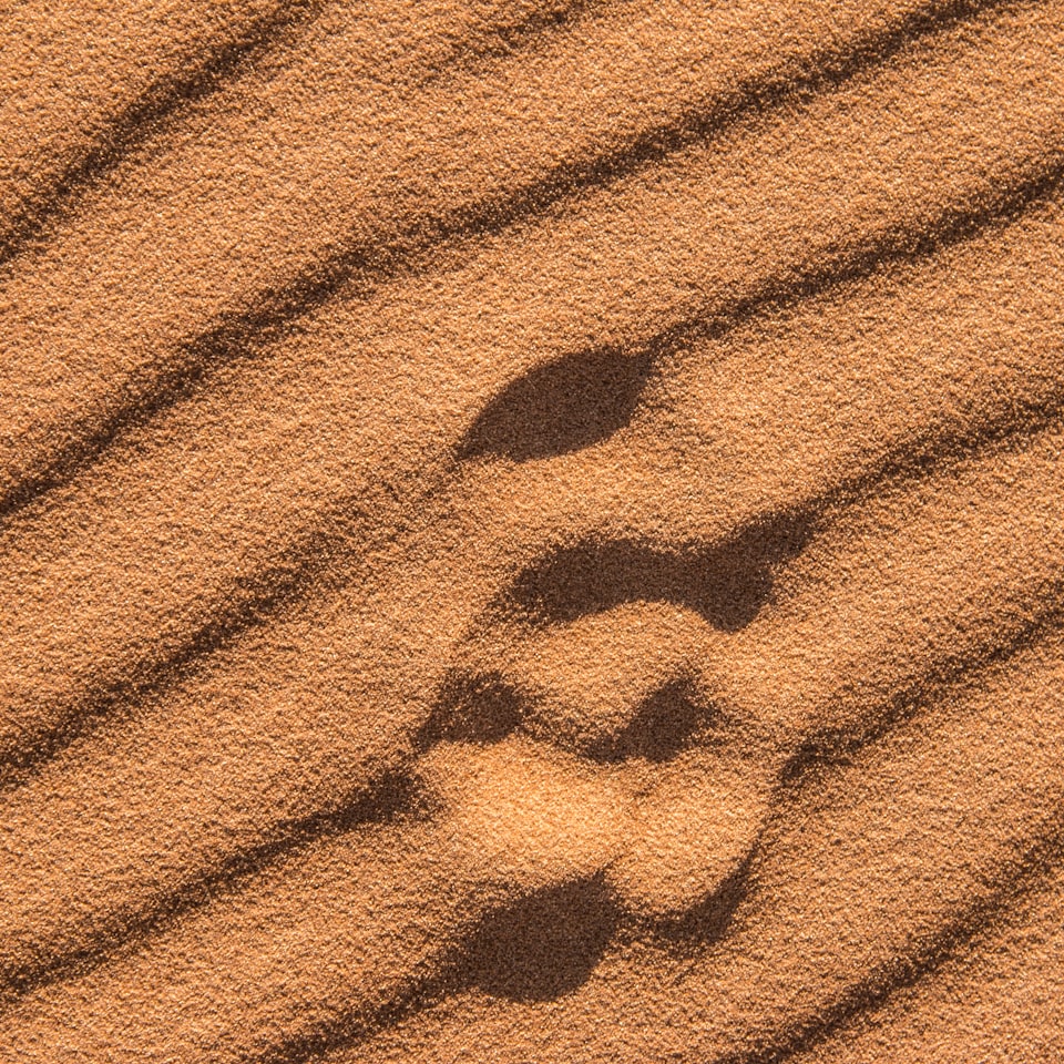 Brown Natural Plastic