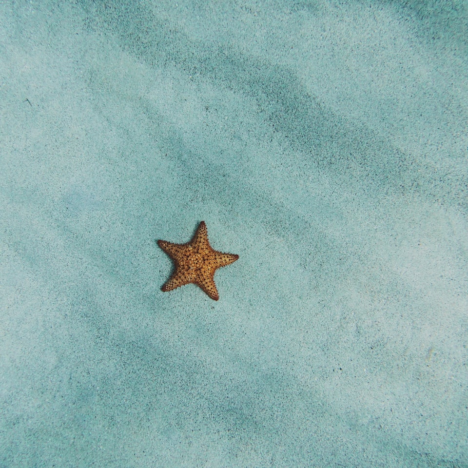 Water Shampoo Moustache