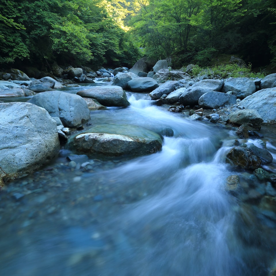 Water Ring Banana Album