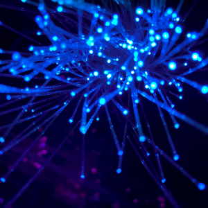 Internet Rooster Strawberry Plastic