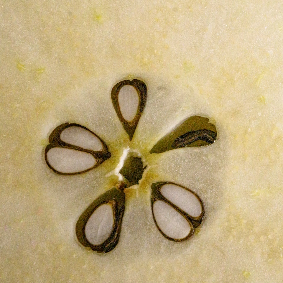 Knife Moustache Violet