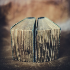 Book Blender Lime Fish Brown