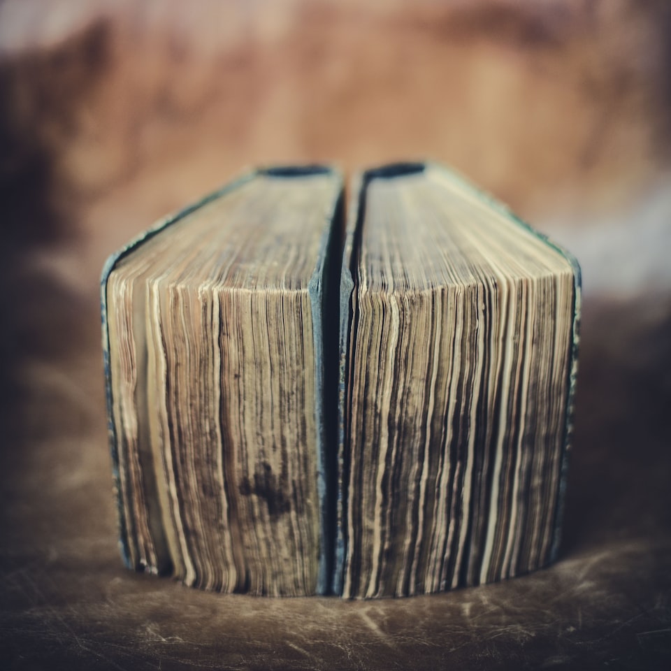 Book Blender Lime Fish Brown