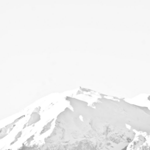 White Bike Shampoo Card