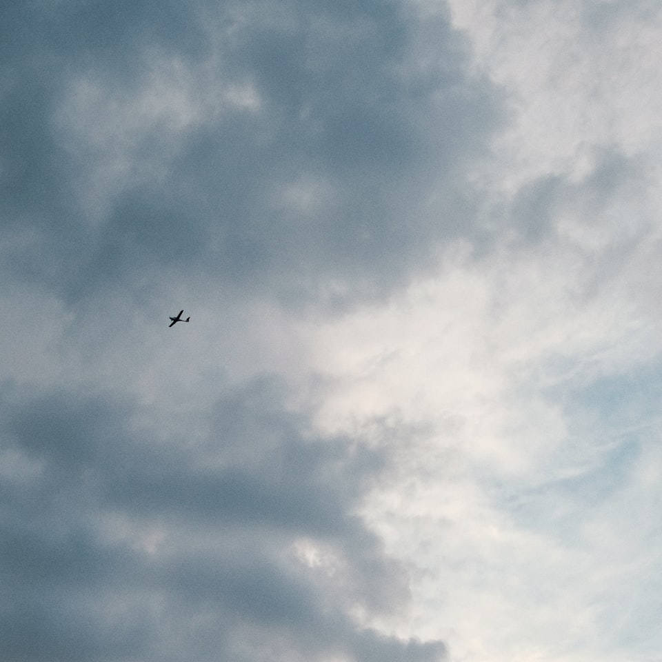 Shampoo Grey Strawberry