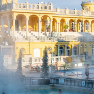 Thermal Moustache Wood