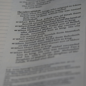 Lamb Grey Strawberry