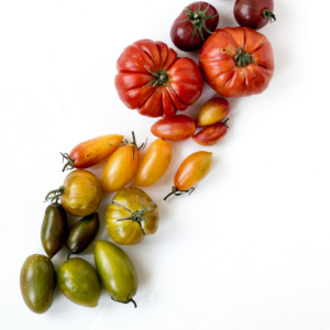 Tomato Juice Rooster