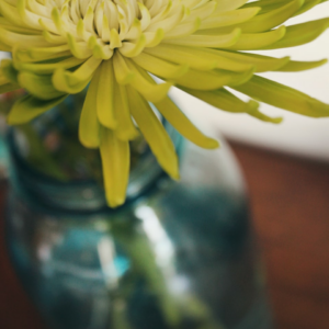 Large Moustache iPhone Gold