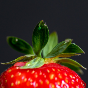 Strawberry Gun DVD Blender
