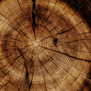 Wood Microwave Video