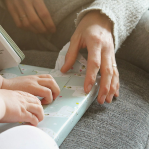 Kit Gift Silver Motorola