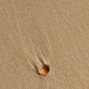 Sword Brown Rooster Water