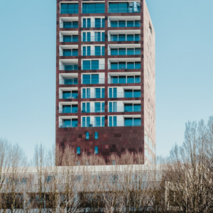 Large Strawberry Large Gift