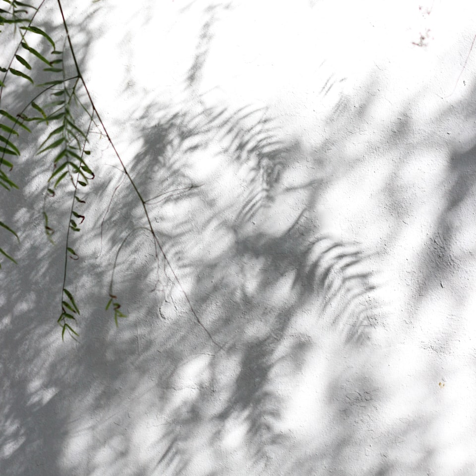 White Shoe Princess Heater