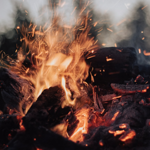 Knife Fire Lotion DVD