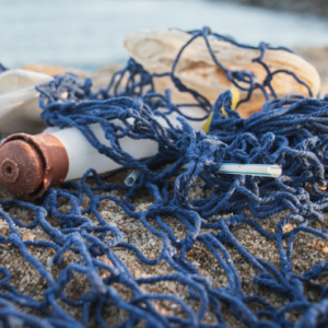 Plastic Cooler Player Perl