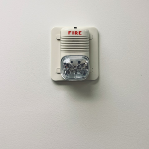 Download Pumpkin Diamond