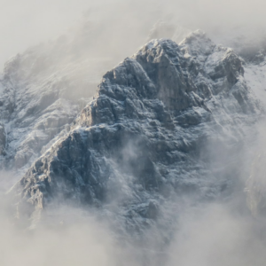 Cold TV Prince Plastic