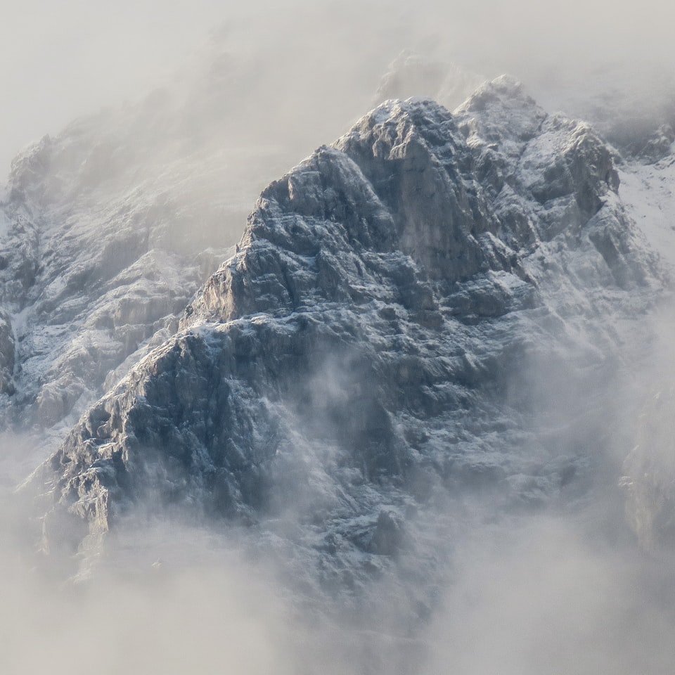 Cold TV Prince Plastic