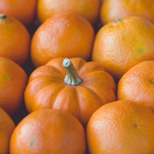 Pumpkin Purple Chicken Green