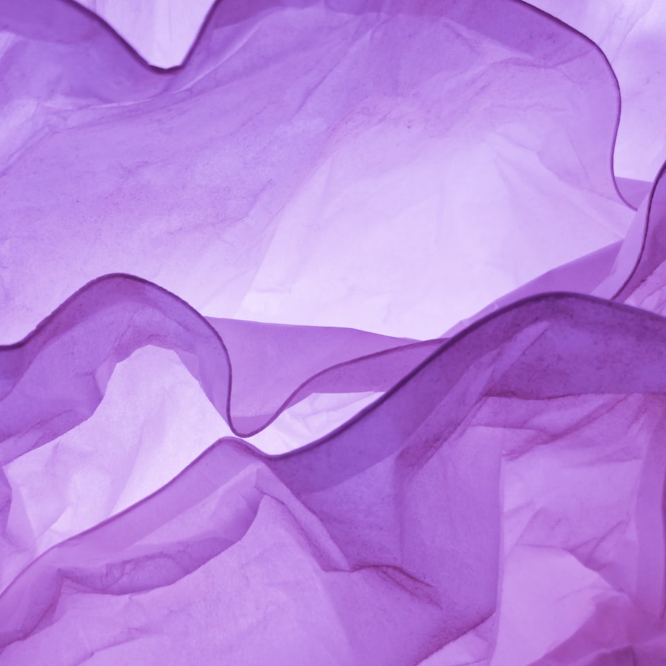 Kit Purple DVD Green Wet