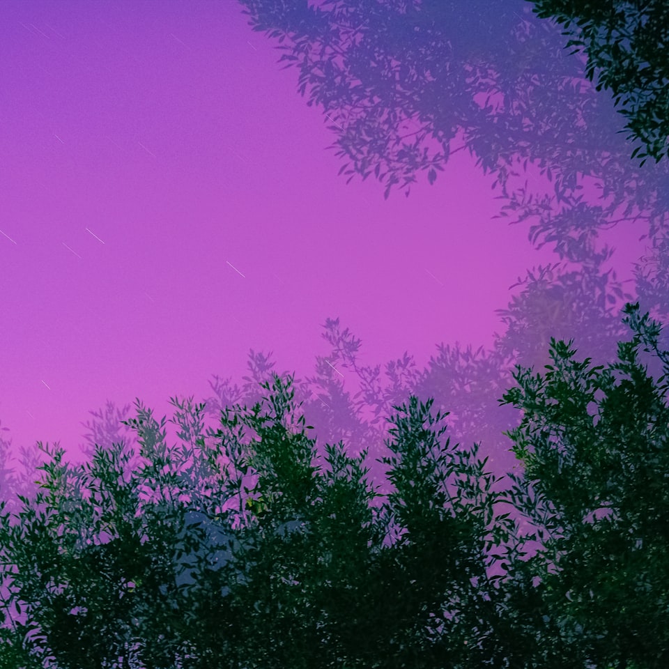 Purple Samsung Prince