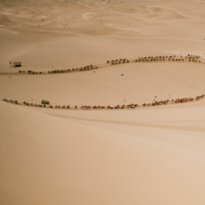 Sheet Brown Book Gel