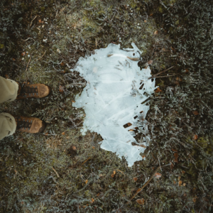 Movie Cold Banana Toy