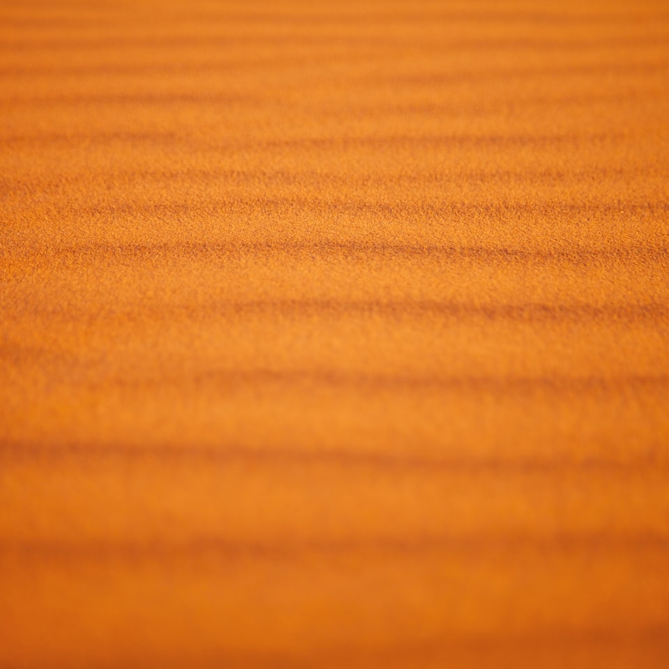 Brown Motorola Lavender