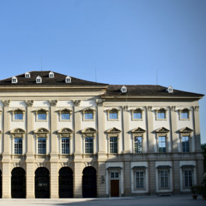 Soy Prince Hair Video