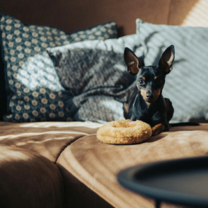 Cushion Lamb Hair Cover