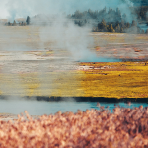 Thermal Washer Jazz Apple Film