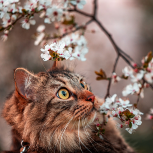 Moustache Fish Film Cool