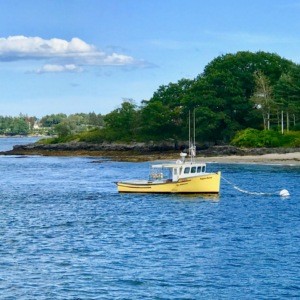 Violet Hot Medium White