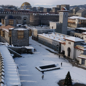 Motorola Carrot Chicken