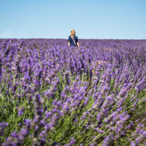 Lavender Potato Wood Refrigerator