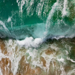 Shower Water Rooster