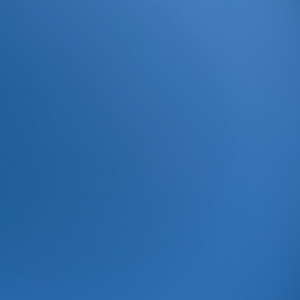 Large Blue Meat Microwave