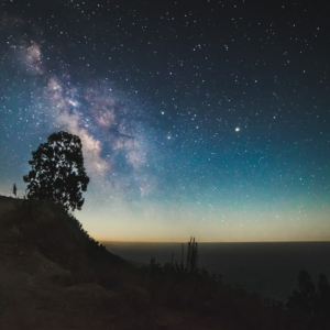 Galaxy Prince Ring Carrot