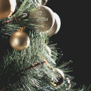 Silver Shower Download