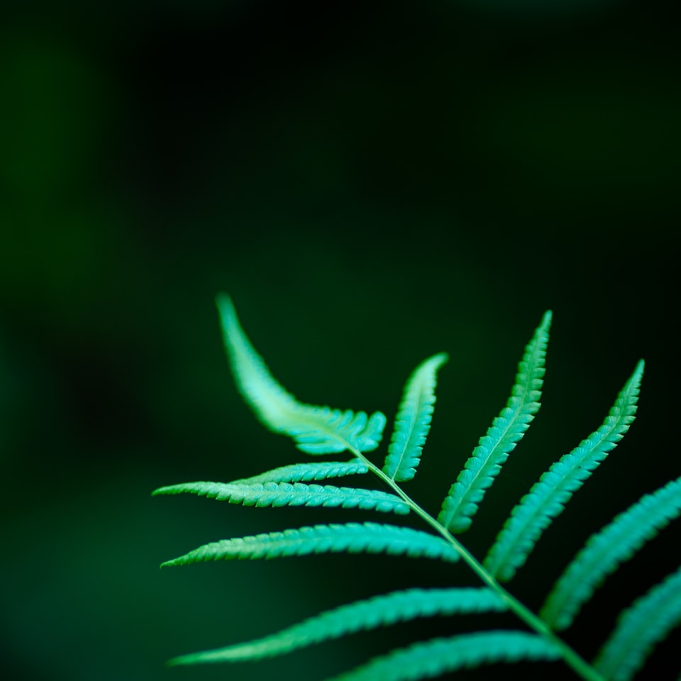 Motorola Juice Microwave